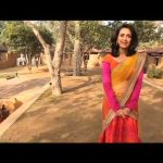 Introduction to Red Rikshaw Revolution 2014