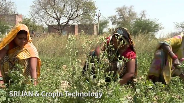 Kisan Samridhi : Winner : Mobile for good award 2014 Kisan Samridhi : Winner : Mobile for good award 2014