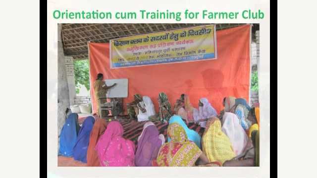 JNK : eNGO Caselet Series JNK : eNGO Caselet Series