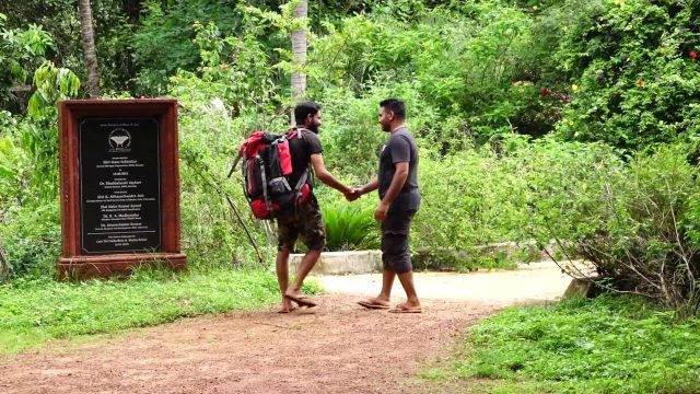 #28 For a bright and colourful future: 52 Parindey #28 For a bright and colourful future: 52 Parindey