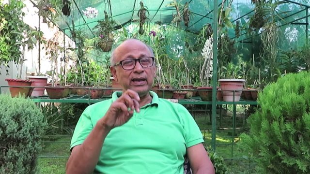 #45 The Elrhino Effect: 52 Parindey #45 The Elrhino Effect: 52 Parindey