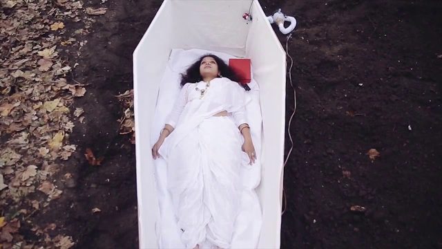 # 12 Art for farmers' rights : 52 Parindey # 12 Art for farmers' rights : 52 Parindey