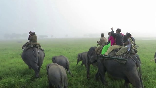 #44 Saving wildlife to save mankind: 52 Parindey #44 Saving wildlife to save mankind: 52 Parindey